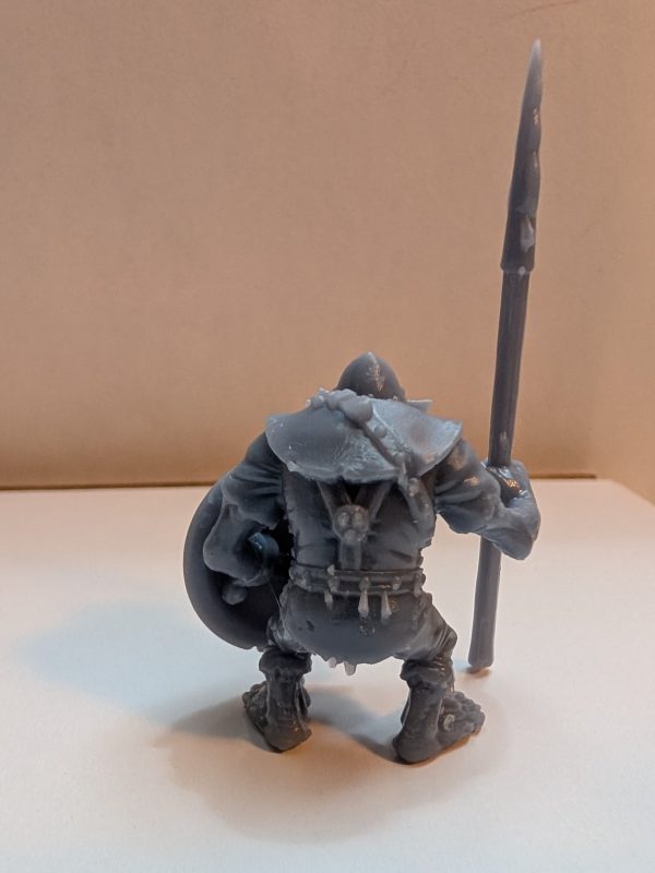 spear longsnount back